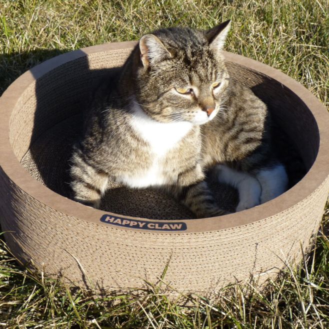 🐾 Představujeme vám naši novinku – kartonové škrabadlo HappyClaw comfortNEST! 🏡✨ Perfektní místo pro odpočinek, zábavu i...